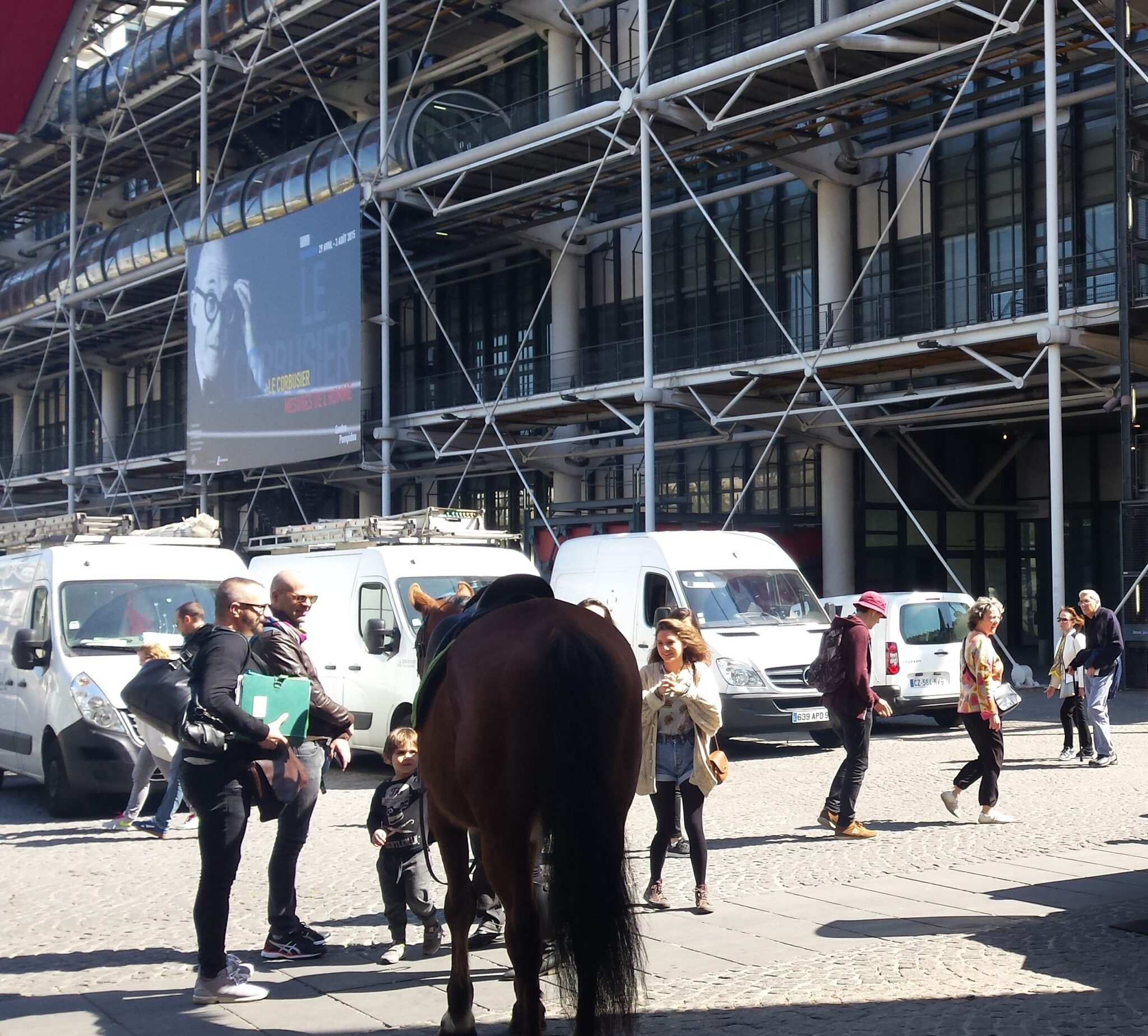 Location chevaux police montée