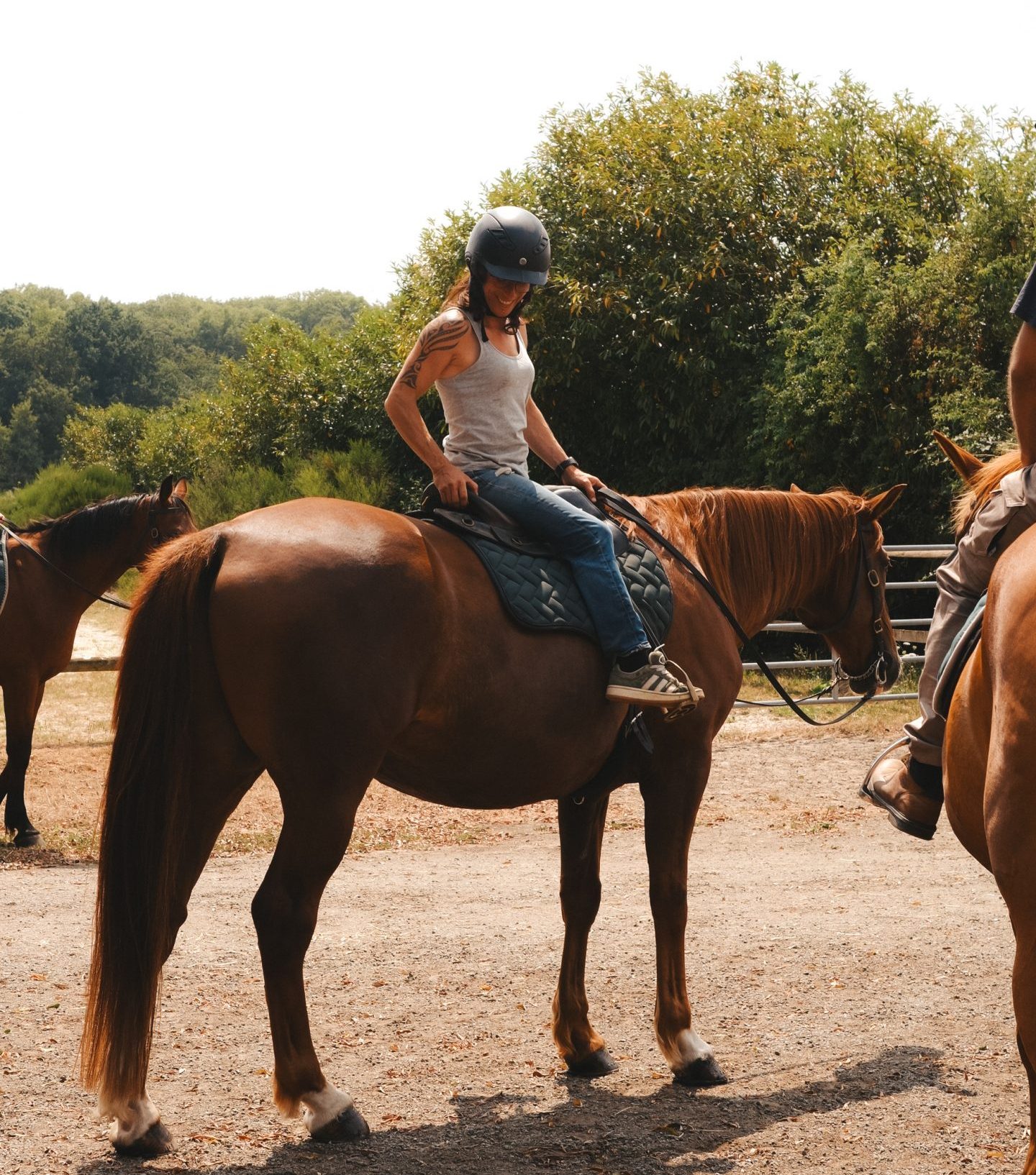 location cheval 78
